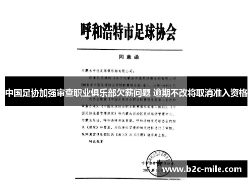 中国足协加强审查职业俱乐部欠薪问题 逾期不改将取消准入资格